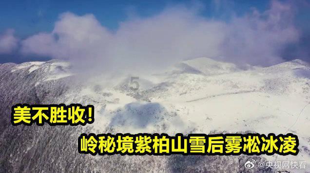 艾利时尚博客