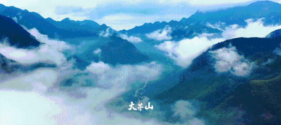 虫虫助手下载